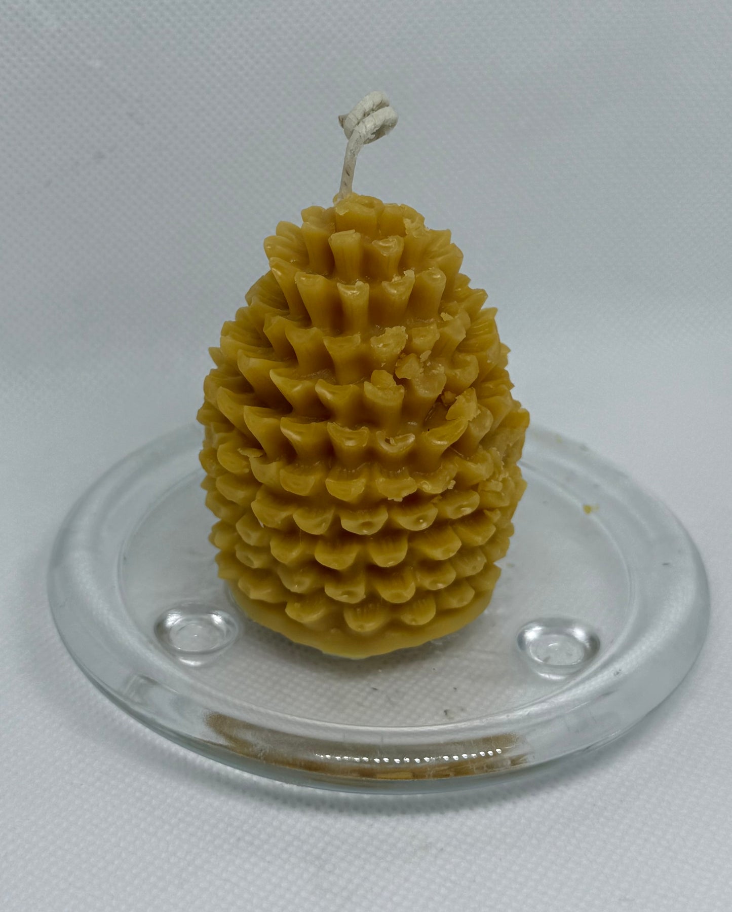 “Guardian of the Forest”